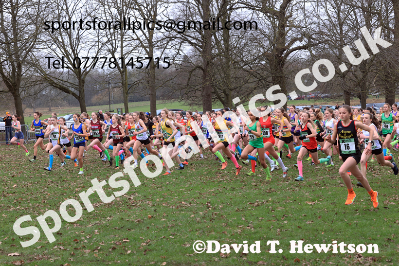 Girls Under-13s 2026 UK CAU Inter Counties Cross Country, Wollaton Park, Nottingham. Photo: David T. Hewitson/Sports for All Pics